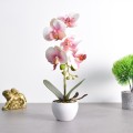 Orhidee cu aspect natural in ghiveci ceramic, 33 cm, Naimeed D4851, Roz Orhidee cu aspect natural in ghiveci ceramic, 33 cm, Naimeed D4851, Roz