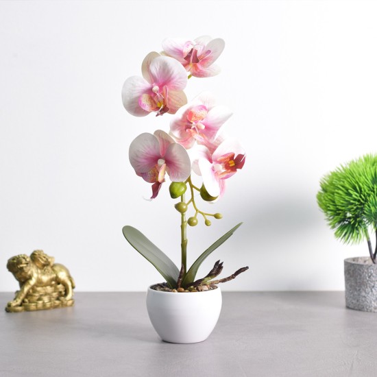 Orhidee cu aspect natural in ghiveci ceramic, 33 cm, Naimeed D4851, Roz Orhidee cu aspect natural in ghiveci ceramic, 33 cm, Naimeed D4851, Roz