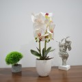 Orhidee cu aspect natural in ghiveci ceramic, 53 cm, Naimeed D4846, Alb