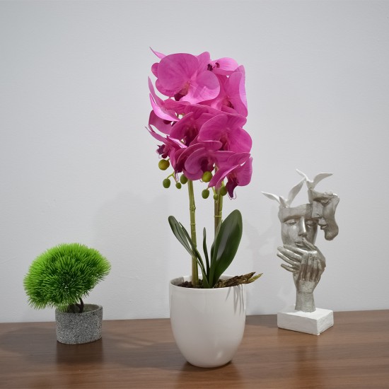 Orhidee cu aspect natural in ghiveci ceramic, 53 cm, Naimeed D4846, Magenta