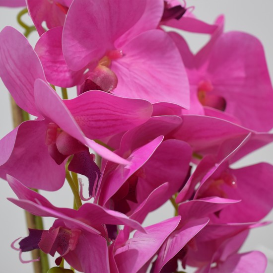 Orhidee cu aspect natural in ghiveci ceramic, 53 cm, Naimeed D4846, Magenta