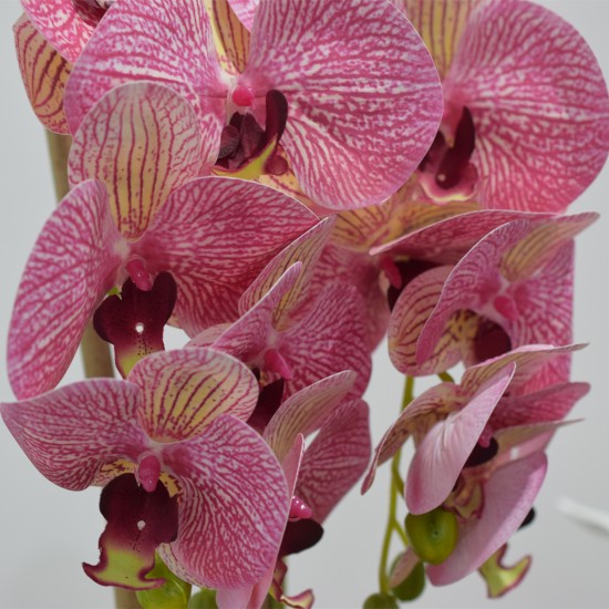 Orhidee cu aspect natural in ghiveci ceramic, 53 cm, Naimeed D4846, Roz