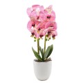 Orhidee cu aspect natural in ghiveci ceramic, 53 cm, Naimeed D4846, Roz