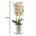 Orhidee cu aspect natural in ghiveci ceramic, 53 cm, Naimeed D4846, Alb