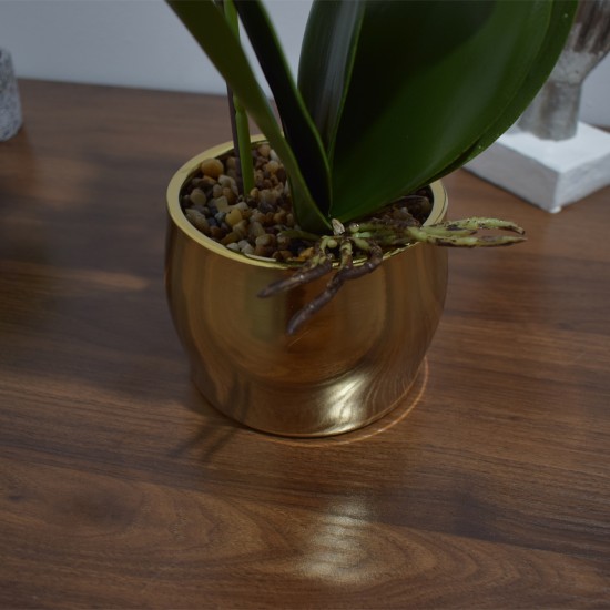 Orhidee cu aspect natural in ghiveci ceramic, 50 cm, Naimeed D4847, Alb