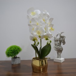 Orhidee cu aspect natural in ghiveci ceramic, 50 cm, Naimeed D4847, Alb