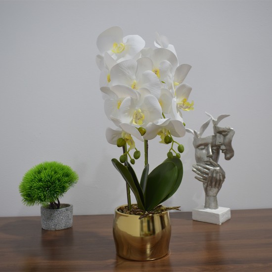 Orhidee cu aspect natural in ghiveci ceramic, 50 cm, Naimeed D4847, Alb