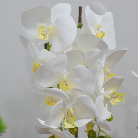 Orhidee cu aspect natural in ghiveci ceramic, 50 cm, Naimeed D4847, Alb