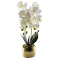 Orhidee cu aspect natural in ghiveci ceramic, 50 cm, Naimeed D4847, Alb