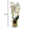 Orhidee cu aspect natural in ghiveci ceramic, 50 cm, Naimeed D4847, Alb