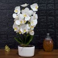 Orhidee cu aspect natural in ghiveci ceramic, 50 cm, Naimeed D4848, Alb Orhidee cu aspect natural in ghiveci ceramic, 50 cm, Naimeed D4848, Alb