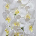 Orhidee cu aspect natural in ghiveci ceramic, 50 cm, Naimeed D4848, Alb Orhidee cu aspect natural in ghiveci ceramic, 50 cm, Naimeed D4848, Alb
