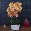 Orhidee cu aspect natural in ghiveci ceramic, 50 cm, Naimeed D4848, Portocaliu Orhidee cu aspect natural in ghiveci ceramic, 50 cm, Naimeed D4848, Portocaliu