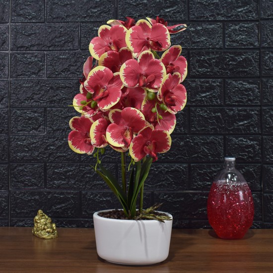 Orhidee cu aspect natural in ghiveci ceramic, 50 cm, Naimeed D4848, Rosu Orhidee cu aspect natural in ghiveci ceramic, 50 cm, Naimeed D4848, Rosu