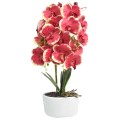 Orhidee cu aspect natural in ghiveci ceramic, 50 cm, Naimeed D4848, Rosu Orhidee cu aspect natural in ghiveci ceramic, 50 cm, Naimeed D4848, Rosu