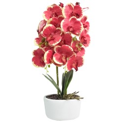 Orhidee cu aspect natural in ghiveci ceramic, 50 cm, Naimeed D4848, Rosu