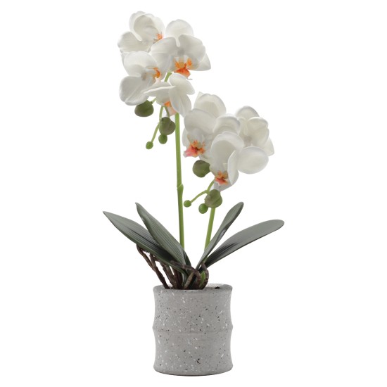 Orhidee cu aspect natural in ghiveci ceramic, 35 cm, Naimeed D4849, Alb