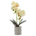 Orhidee cu aspect natural in ghiveci ceramic, 35 cm, Naimeed D4849, Galben Orhidee cu aspect natural in ghiveci ceramic, 35 cm, Naimeed D4849, Galben