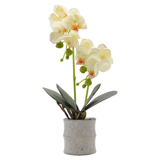 Orhidee cu aspect natural in ghiveci ceramic, 35 cm, Naimeed D4849, Galben Orhidee cu aspect natural in ghiveci ceramic, 35 cm, Naimeed D4849, Galben