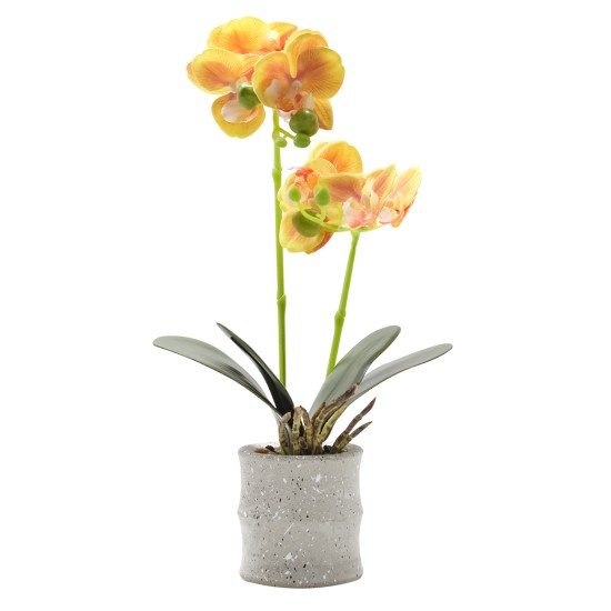 Orhidee cu aspect natural in ghiveci ceramic, 35 cm, Naimeed D4849, Portocaliu Orhidee cu aspect natural in ghiveci ceramic, 35 cm, Naimeed D4849, Portocaliu