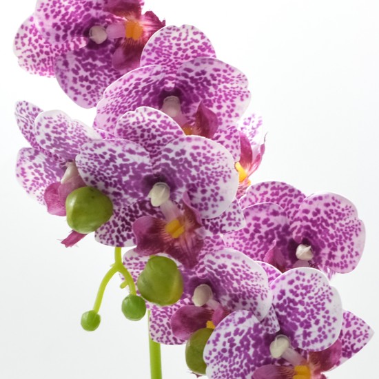 Orhidee cu aspect natural in ghiveci ceramic, 35 cm, Naimeed D4849, Magenta Orhidee cu aspect natural in ghiveci ceramic, 35 cm, Naimeed D4849, Magenta