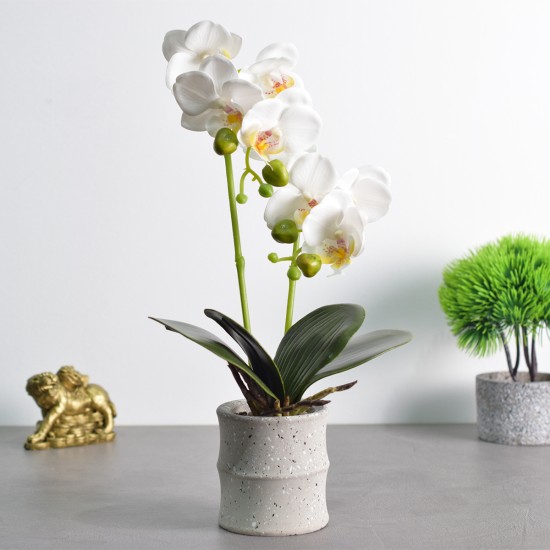 Orhidee cu aspect natural in ghiveci ceramic, 35 cm, Naimeed D4849, Alb
