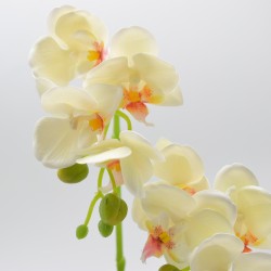 Orhidee cu aspect natural in ghiveci ceramic, 35 cm, Naimeed D4849, Galben