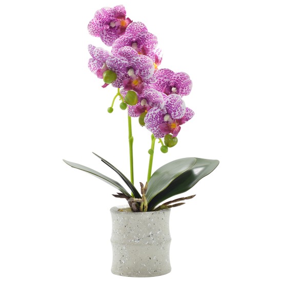 Orhidee cu aspect natural in ghiveci ceramic, 35 cm, Naimeed D4849, Magenta Orhidee cu aspect natural in ghiveci ceramic, 35 cm, Naimeed D4849, Magenta