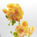 Orhidee cu aspect natural in ghiveci ceramic, 35 cm, Naimeed D4849, Portocaliu Orhidee cu aspect natural in ghiveci ceramic, 35 cm, Naimeed D4849, Portocaliu