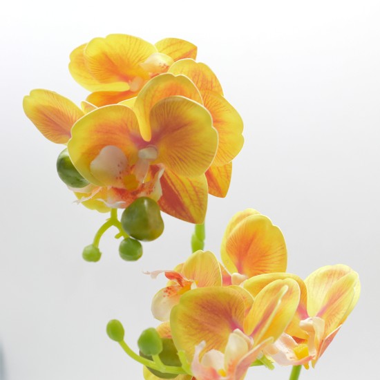 Orhidee cu aspect natural in ghiveci ceramic, 35 cm, Naimeed D4849, Portocaliu Orhidee cu aspect natural in ghiveci ceramic, 35 cm, Naimeed D4849, Portocaliu