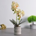 Orhidee cu aspect natural in ghiveci ceramic, 35 cm, Naimeed D4849, Galben Orhidee cu aspect natural in ghiveci ceramic, 35 cm, Naimeed D4849, Galben