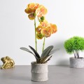 Orhidee cu aspect natural in ghiveci ceramic, 35 cm, Naimeed D4849, Portocaliu Orhidee cu aspect natural in ghiveci ceramic, 35 cm, Naimeed D4849, Portocaliu