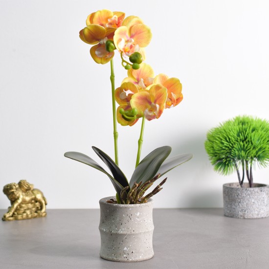Orhidee cu aspect natural in ghiveci ceramic, 35 cm, Naimeed D4849, Portocaliu Orhidee cu aspect natural in ghiveci ceramic, 35 cm, Naimeed D4849, Portocaliu