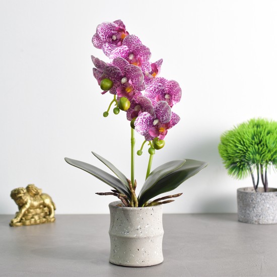 Orhidee cu aspect natural in ghiveci ceramic, 35 cm, Naimeed D4849, Magenta Orhidee cu aspect natural in ghiveci ceramic, 35 cm, Naimeed D4849, Magenta