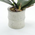 Orhidee cu aspect natural in ghiveci ceramic, 35 cm, Naimeed D4849, Magenta Orhidee cu aspect natural in ghiveci ceramic, 35 cm, Naimeed D4849, Magenta