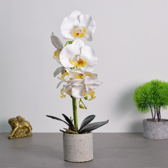 Orhidee cu aspect natural in ghiveci ceramic, 36 cm, Naimeed D4850, Alb Orhidee cu aspect natural in ghiveci ceramic, 36 cm, Naimeed D4850, Alb
