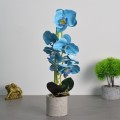 Orhidee cu aspect natural in ghiveci ceramic, 36 cm, Naimeed D4850, Albastru