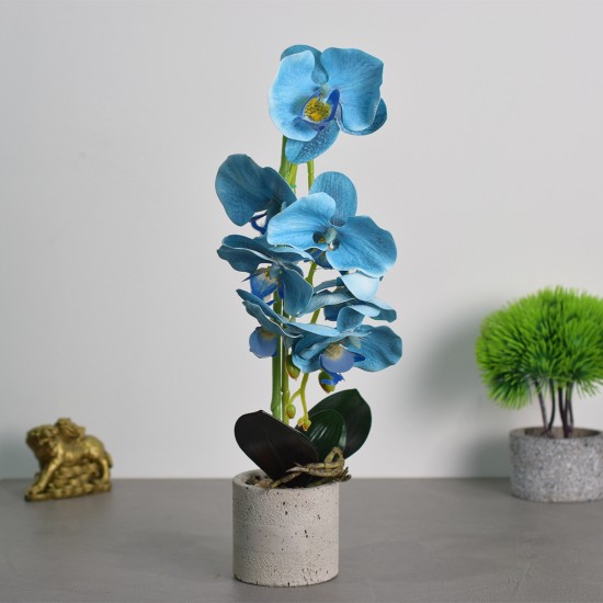 Orhidee cu aspect natural in ghiveci ceramic, 36 cm, Naimeed D4850, Albastru