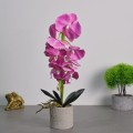 Orhidee cu aspect natural in ghiveci ceramic, 36 cm, Naimeed D4850, Magenta Orhidee cu aspect natural in ghiveci ceramic, 36 cm, Naimeed D4850, Magenta
