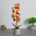 Orhidee cu aspect natural in ghiveci ceramic, 36 cm, Naimeed D4850, Portocaliu Orhidee cu aspect natural in ghiveci ceramic, 36 cm, Naimeed D4850, Portocaliu