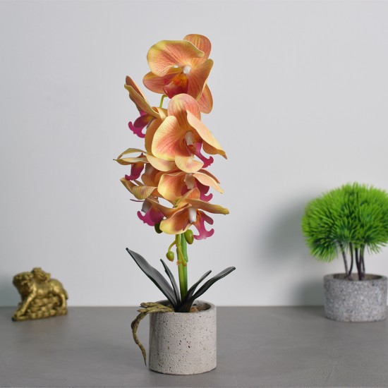 Orhidee cu aspect natural in ghiveci ceramic, 36 cm, Naimeed D4850, Portocaliu Orhidee cu aspect natural in ghiveci ceramic, 36 cm, Naimeed D4850, Portocaliu