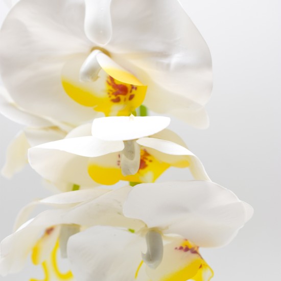 Orhidee cu aspect natural in ghiveci ceramic, 36 cm, Naimeed D4850, Alb Orhidee cu aspect natural in ghiveci ceramic, 36 cm, Naimeed D4850, Alb