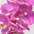 Orhidee cu aspect natural in ghiveci ceramic, 36 cm, Naimeed D4850, Magenta Orhidee cu aspect natural in ghiveci ceramic, 36 cm, Naimeed D4850, Magenta