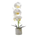 Orhidee cu aspect natural in ghiveci ceramic, 36 cm, Naimeed D4850, Alb Orhidee cu aspect natural in ghiveci ceramic, 36 cm, Naimeed D4850, Alb