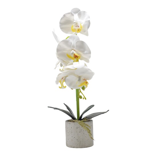 Orhidee cu aspect natural in ghiveci ceramic, 36 cm, Naimeed D4850, Alb Orhidee cu aspect natural in ghiveci ceramic, 36 cm, Naimeed D4850, Alb