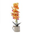 Orhidee cu aspect natural in ghiveci ceramic, 36 cm, Naimeed D4850, Portocaliu Orhidee cu aspect natural in ghiveci ceramic, 36 cm, Naimeed D4850, Portocaliu