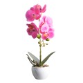 Orhidee cu aspect natural in ghiveci ceramic, 33 cm, Naimeed D4851, Magenta Orhidee cu aspect natural in ghiveci ceramic, 33 cm, Naimeed D4851, Magenta