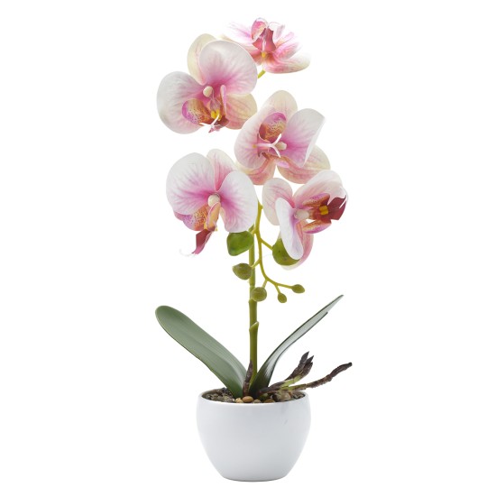 Orhidee cu aspect natural in ghiveci ceramic, 33 cm, Naimeed D4851, Roz Orhidee cu aspect natural in ghiveci ceramic, 33 cm, Naimeed D4851, Roz