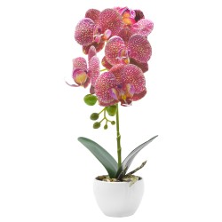 Orhidee cu aspect natural in ghiveci ceramic, 33 cm, Naimeed D4851, RozGalben