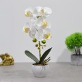 Orhidee cu aspect natural in ghiveci ceramic, 33 cm, Naimeed D4851, Alb